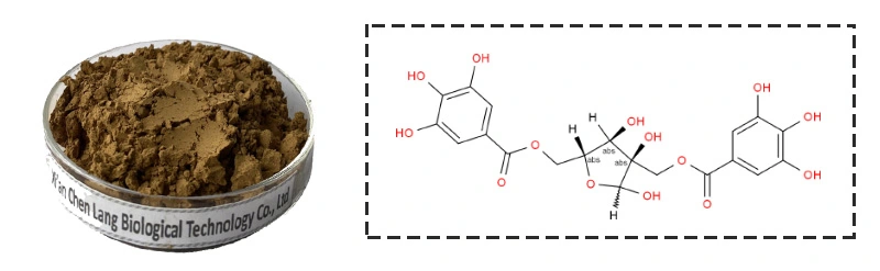 Hamamelis Virginiana Extract Powder.jpg
